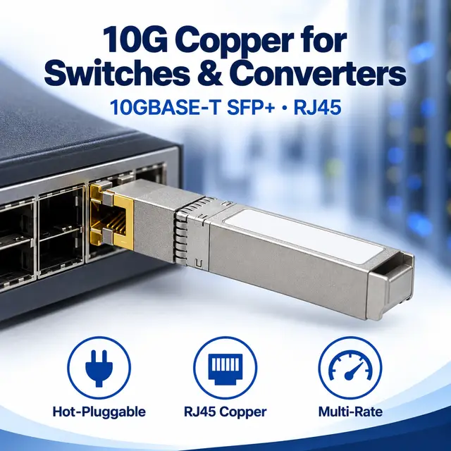 10GBASE-T SFP+ Copper RJ45 100m Multi-Rate — In a host switch 2
