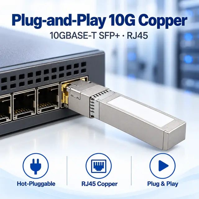 Ethernet 10G SFP+ Copper RJ45 10GBASE-T 100m — In a host switch 2