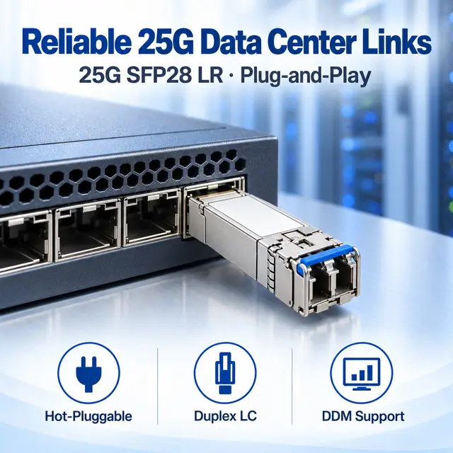 25G SFP28 LR 1310nm 10km Single-Mode Duplex LC Transceiver — In a host switch 2