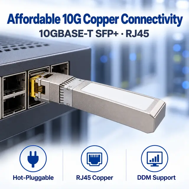 Affordable 10G SFP+ Copper RJ45 10GBASE-T 100m — In a host switch 2